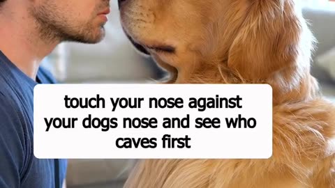 Touch your nose against your dog nose and see who caves first