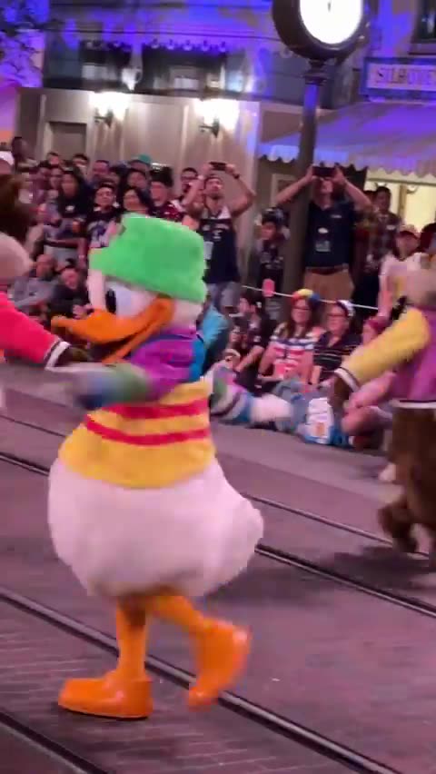 Never go to Disneyland ever again