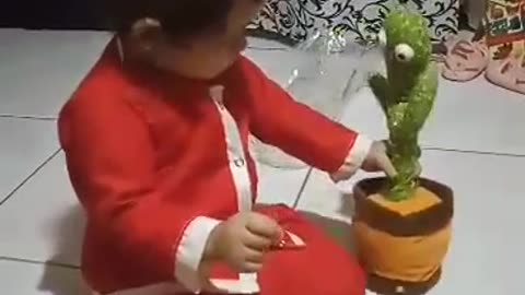 Cactus dance