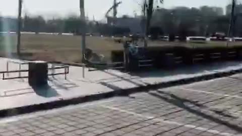 A running dog.