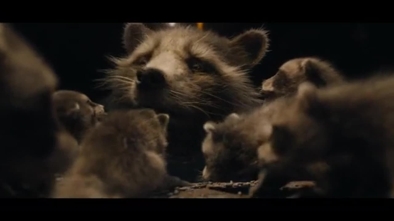 Guardians of the Galaxy Vol. 3 - Rocket saves the baby raccoons