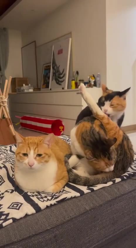 No good being the third wheel 🤣🤣🤣