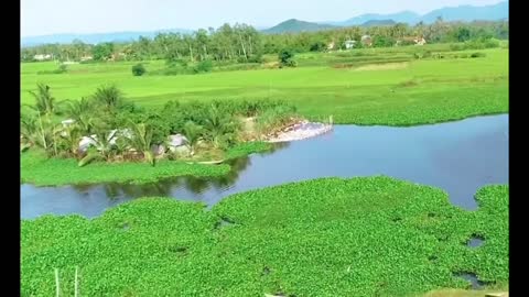 Phong cảnh làng quê Miền Trung, Việt Nam -Landscape of the countryside in the Central region,Vietnam