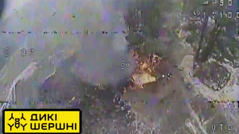 🚀 Ukraine Russia War | Wild Hornets Strike: Ukrainian Kamikaze Drones Destroy Russian Ammo War | RCF