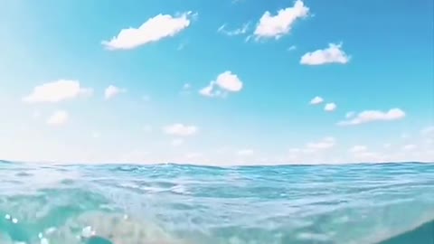 If you have time, you must go to see the sea