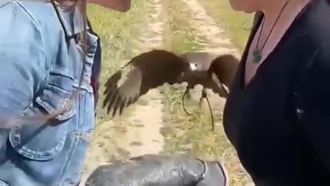 Awesome Bird