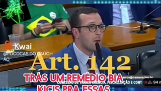 O golpe foi dado. Artigo 142