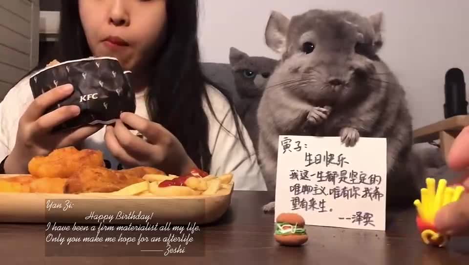 Today's menu: Vegetarian hamburger, chinchilla has been greedy to cry