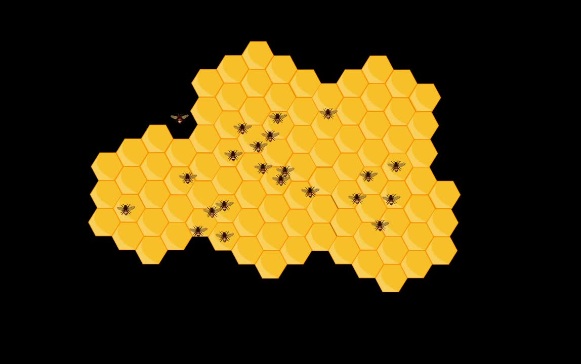 Honey Bee Bees Honey Insect Food Animal Honeycomb