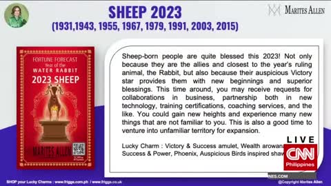 2023 is the Year of the Water Rabbit