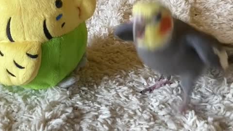 Just a little dibbydoo remix for his little friend