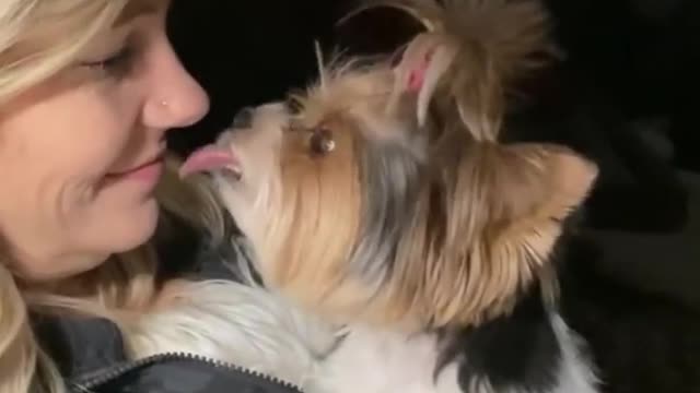 Owner kissing dog