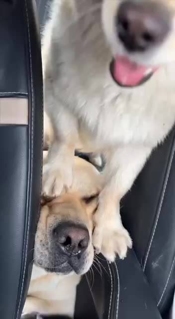 Unchecked ambitions 🤣🤣