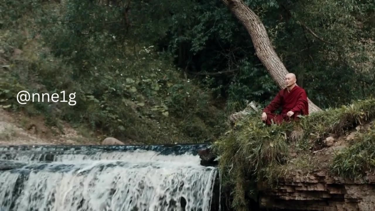 People Are Like Fruit Trees