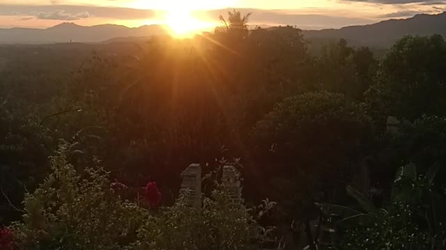 Sunrise