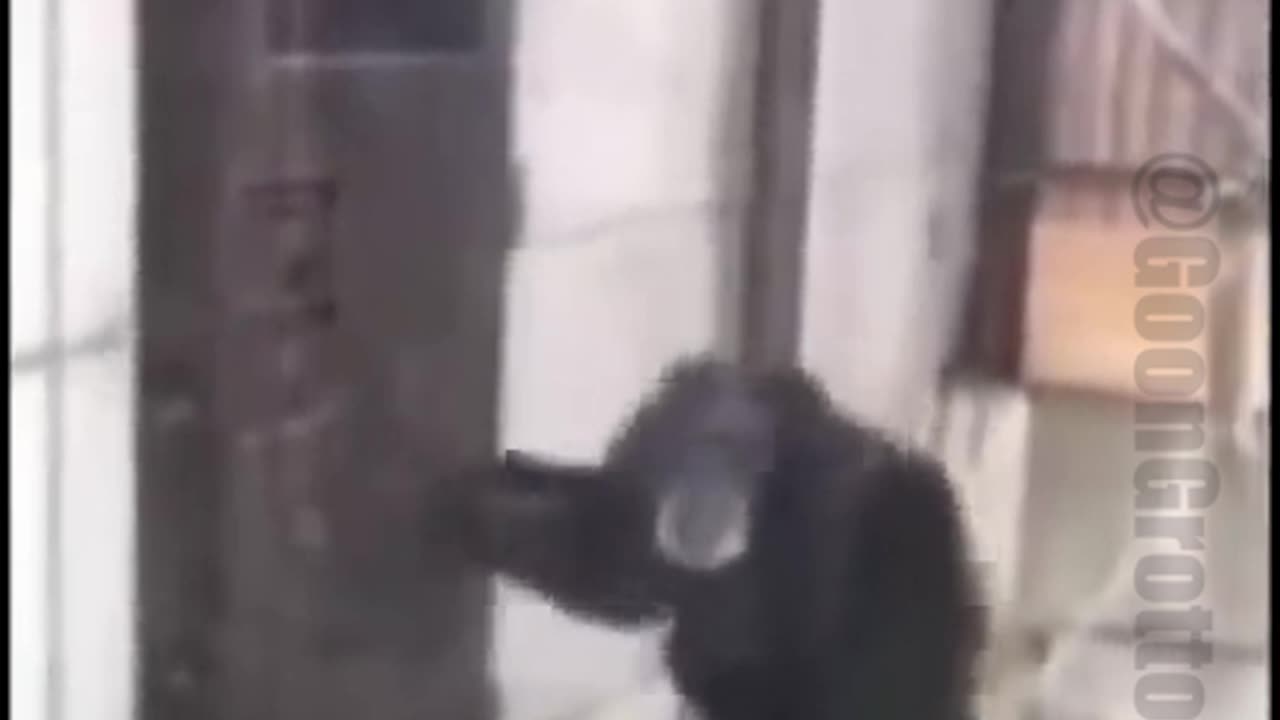 "I'm from up north, I don't need a jacket"