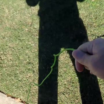 Fishing in a Concrete Pond in the City