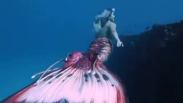 This is a beautiful and charming water-dwelling species