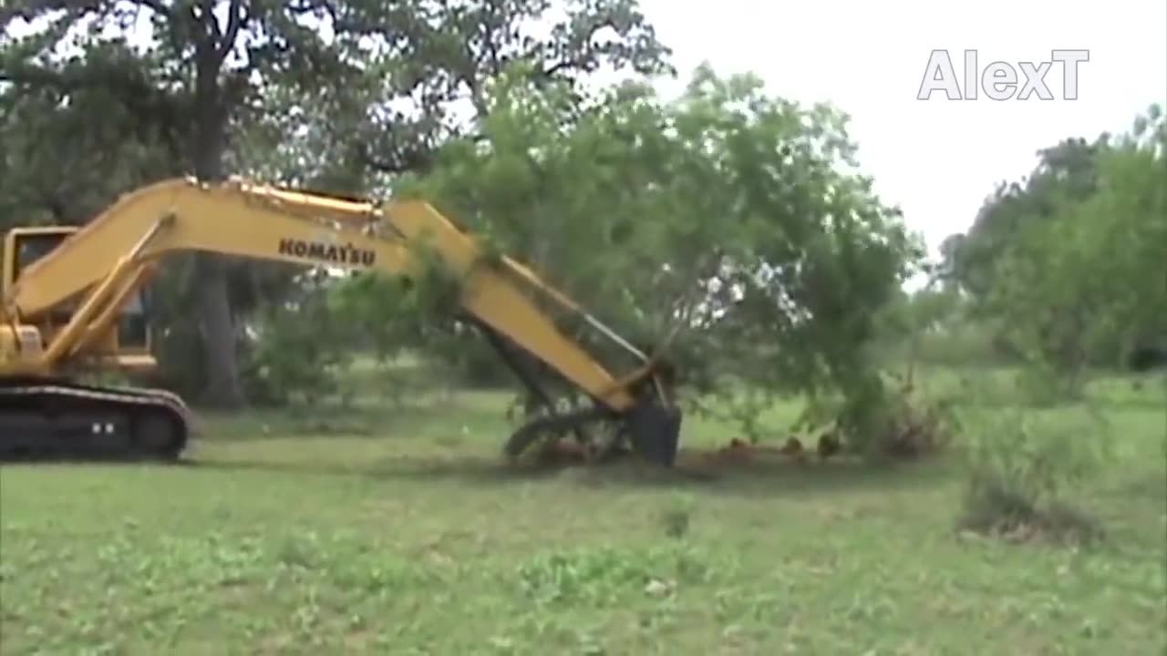 Fast Tree Removal Machine