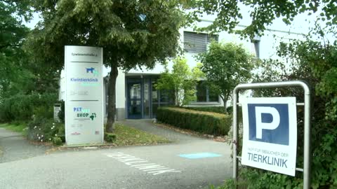 Tierklinik Dr. Mihaljevic in Ravensburg