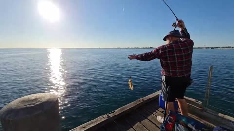 Australia #fishing for #squid at Longest Jetty in the Southern Hemipshere