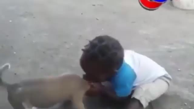 Kid vs Dog Funny Video