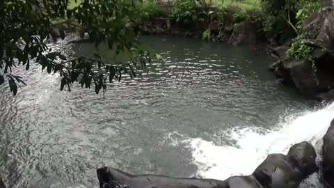 Honolulu, HI — Judd Memorial Trail - Jackass Ginger Pool