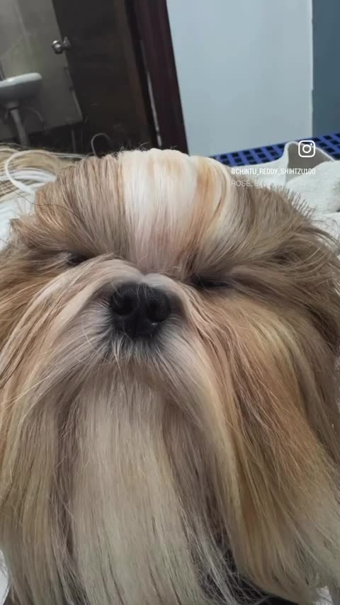 Java Burn: Your Natural Ally for Fat Burning and Energy Boost BUY NOW AND SAVE