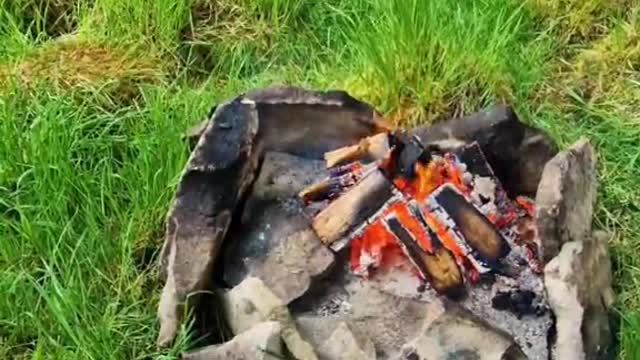 Coconut Chicken Curry in the Wild🔥