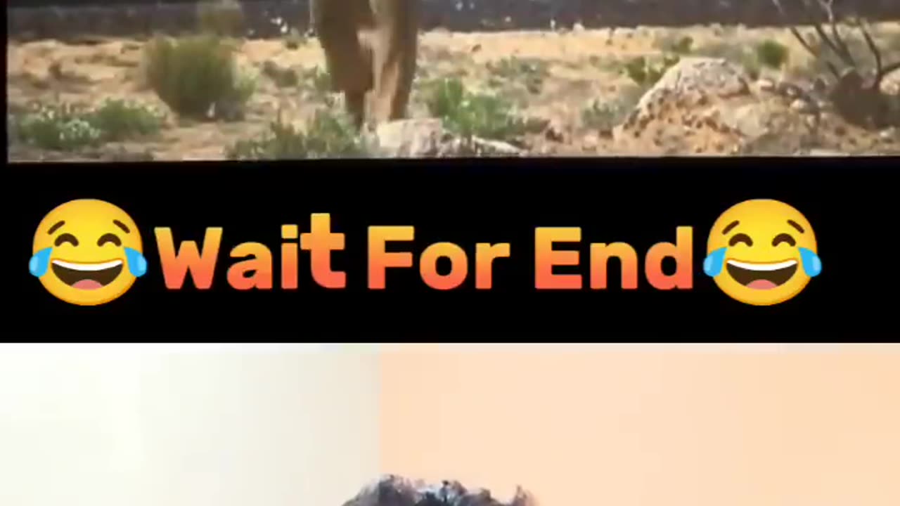 Reaction video 😂 wait for end 😂