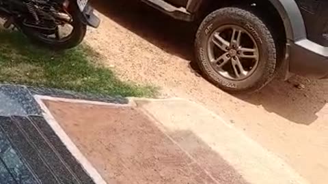 NEW CAR