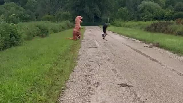Run Jurassic Park : At Home