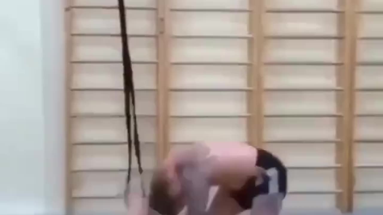 Funniest videos 😂 😂