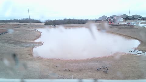 The Pond