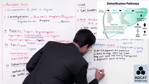 LEC#12 DIGESTION IN DEODENUM