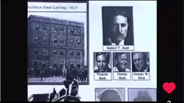 the awful truth (bush family)