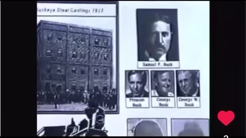 the awful truth (bush family)
