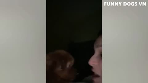 Cute dog and cats that will make you laugh out loud!!! part 2 [October 2022]