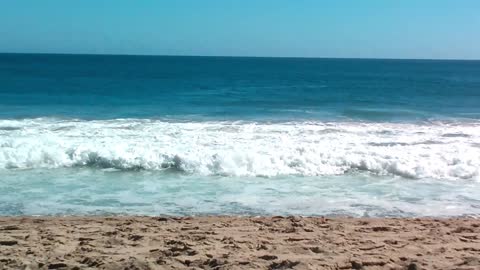 OCEAN