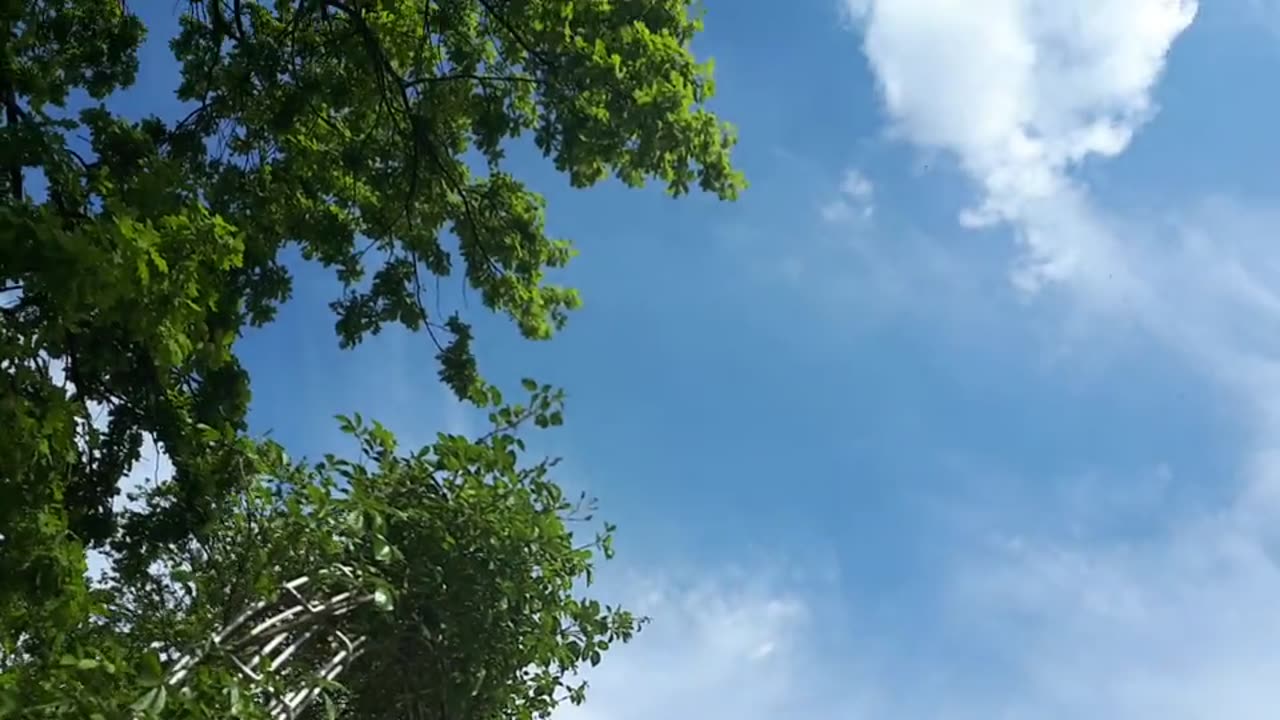 Himmel in Berlin am 15.05.2023 um 14 Uhr