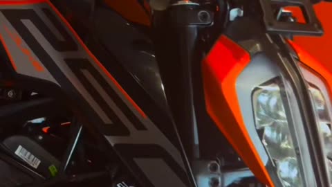 Bike lover