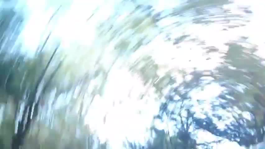 2022-11-04 (3) - bon - Twitch Decheterie (clip)