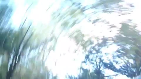 2022-11-04 (3) - bon - Twitch Decheterie (clip)