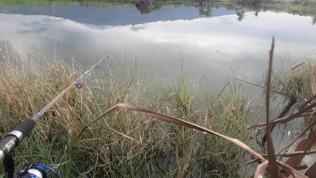 fishing in the pond, where the big fish are