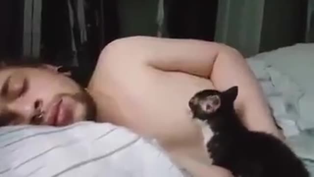 Omg! What This Cat Doing To Its Drowsy Human Is Freaking Weird