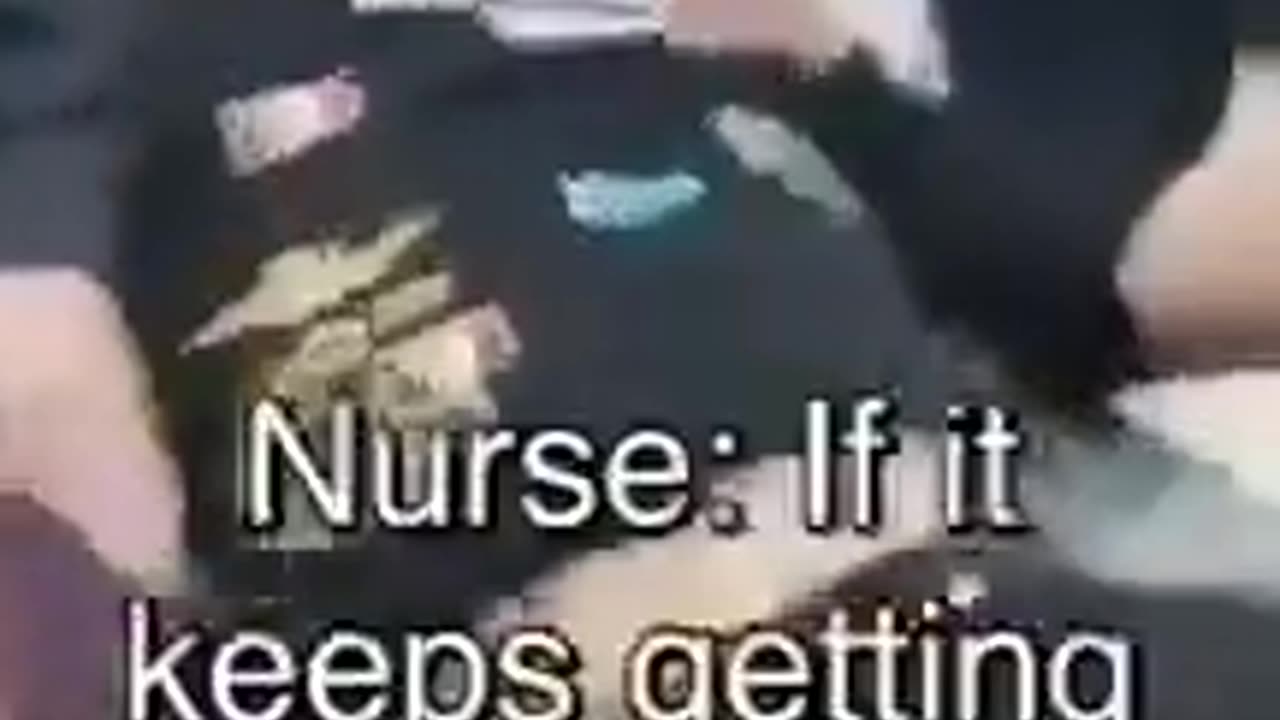 FAFO Venomous Snakes