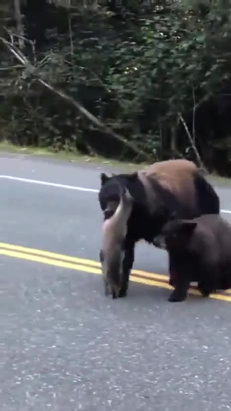 Mom coming back from grocery shopping