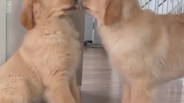 cutepupclipss U taste yummy 🤤