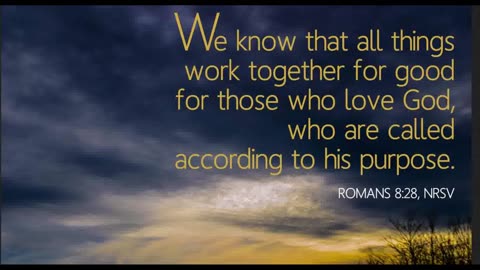 The Lion's Table: Romans 8:28