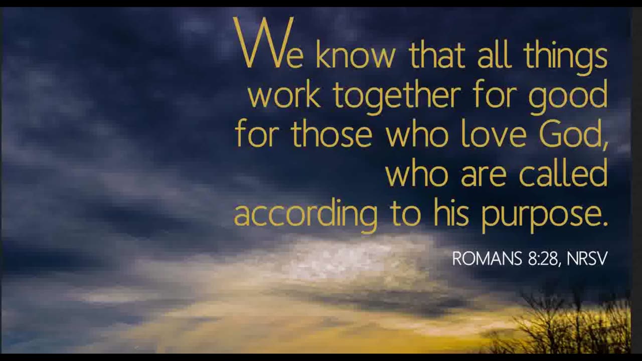 The Lion's Table: Romans 8:28